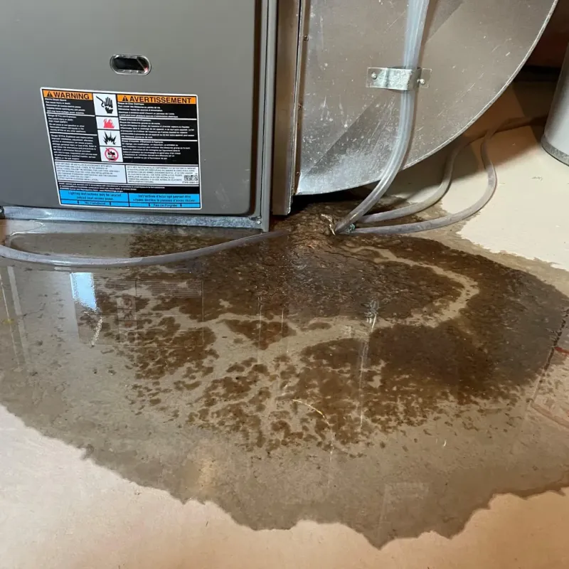 Appliance Leak Cleanup in Carrollton, KY