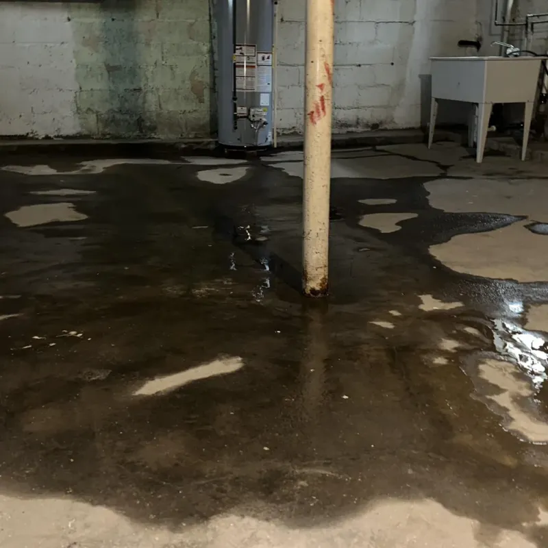 Emergency Water Extraction And Removal in Carrollton, KY